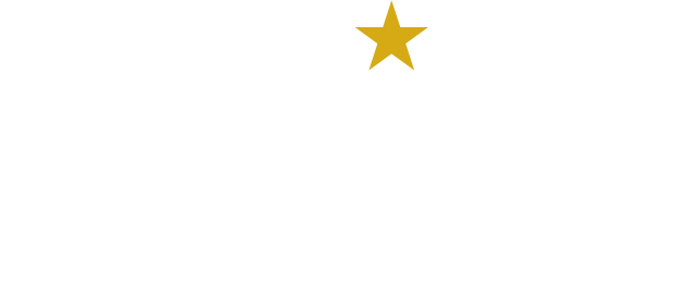 Auriga Services